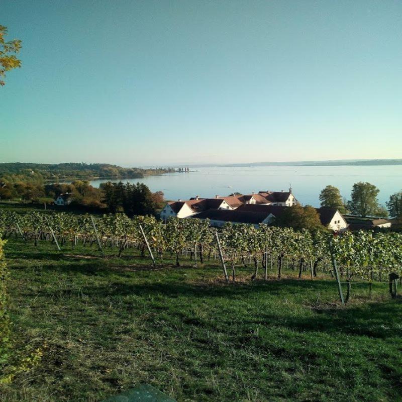 Ferienwohnung Am Bodensee Uhldingen-Muehlhofen Luaran gambar